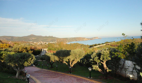 Εξωτερική όψη - Outdoor view